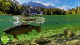 Bergsee Badersee mit Zugspitze