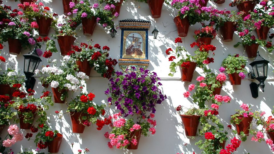 Cordoba, Patio