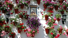 Cordoba, Patio