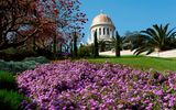Haifa: Bahai Gardens