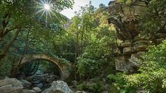 Schlucht von Spelunca auf Korsika