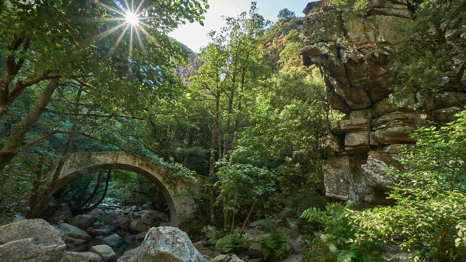 Schlucht von Spelunca auf Korsika