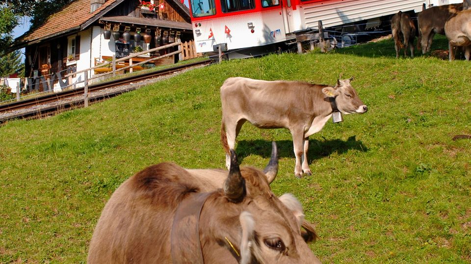 Rigi - Train from Vitznau
