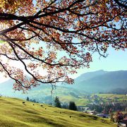 Kleinwalsertal mit Blick Ifen