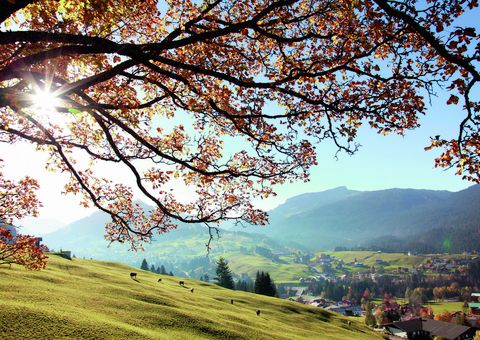 Kleinwalsertal mit Blick Ifen