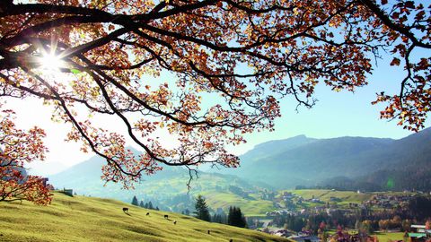 Kleinwalsertal mit Blick Ifen