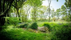 Lost Gardens of Heligan