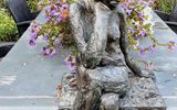 5367_._Garten_NL_copy_