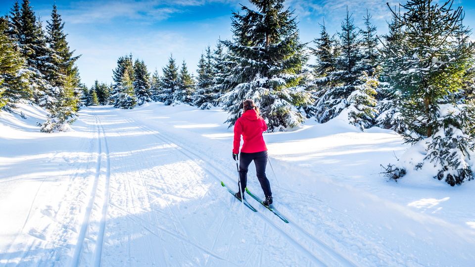 Langlauf in Oberhof