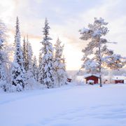 Winterlandschaft bei Lulea
