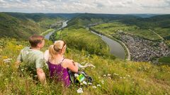 Panoramablick auf die Moselschleife