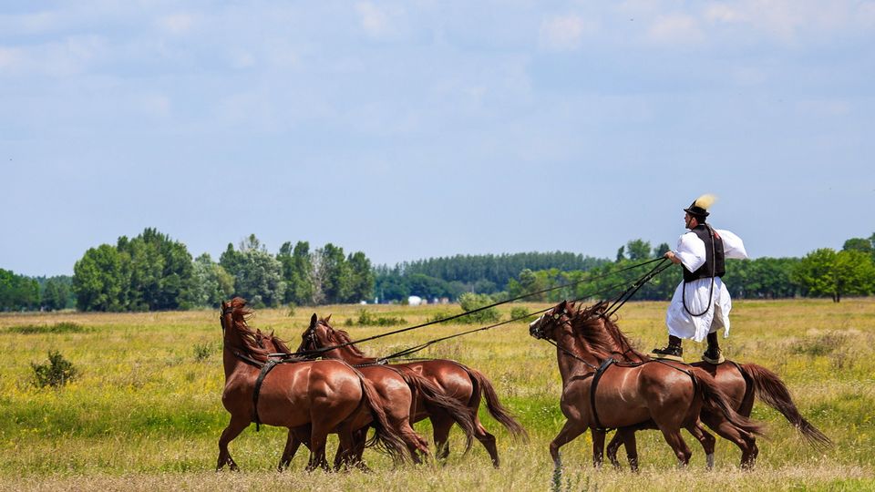  Reiter und Pferde in der Puszta