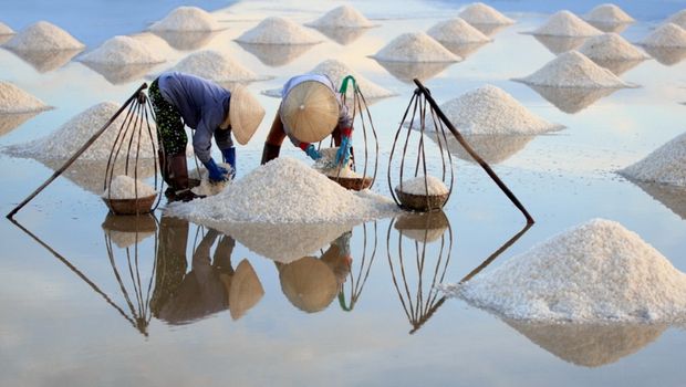 Salzgewinnung in Hon Khoi