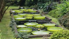 Terra Nostra Garden, Furnas