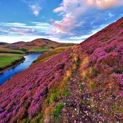 Farbenfrohes Panorama in Schottland