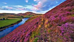 Bunte schottische Landschaft