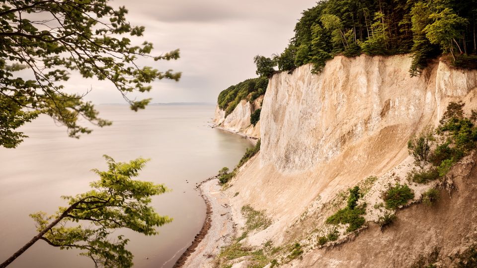 Sassnitz, Nationalpark Jasmund mit Kreidefelsen