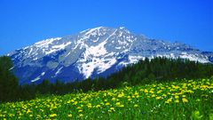 Mariazeller Land, Oetscher