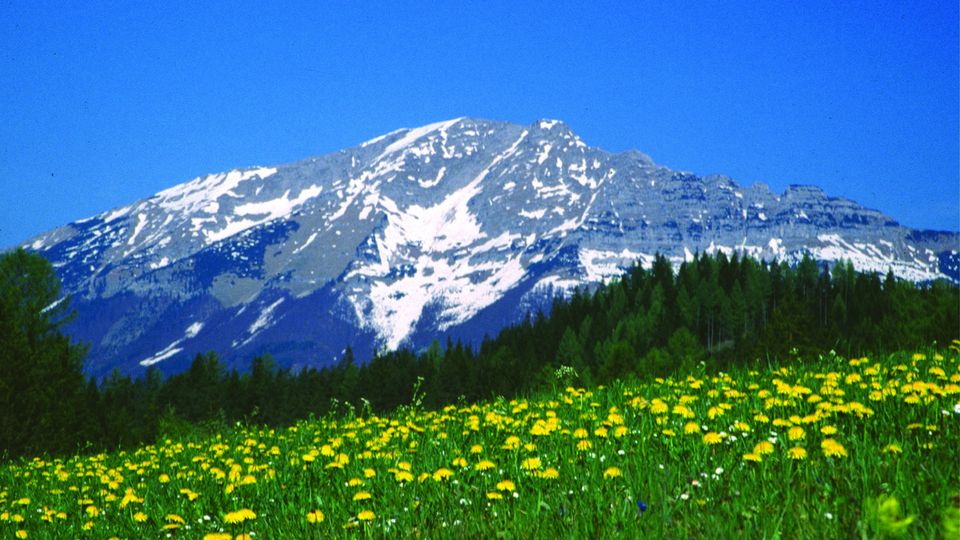 Mariazeller Land, Oetscher