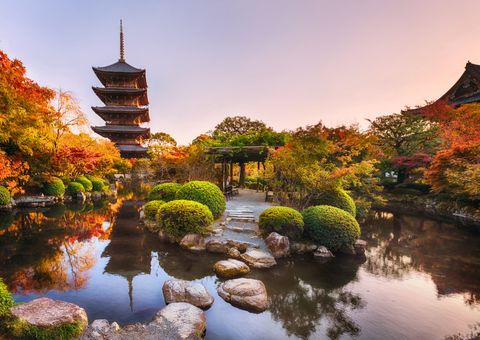 Toji temple Kyoto