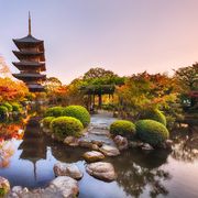 Toji temple Kyoto