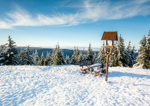 Thüringer Wald, Schneekopf