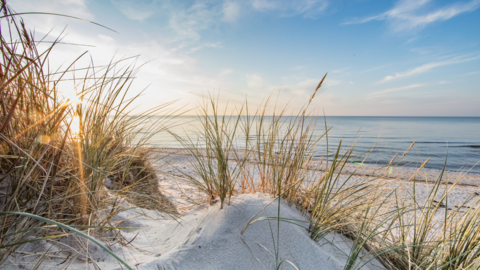 Strand bei einer Ostsee Reise mit sz-Reisen