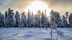 Lappland Landschaft bei Pyhä
