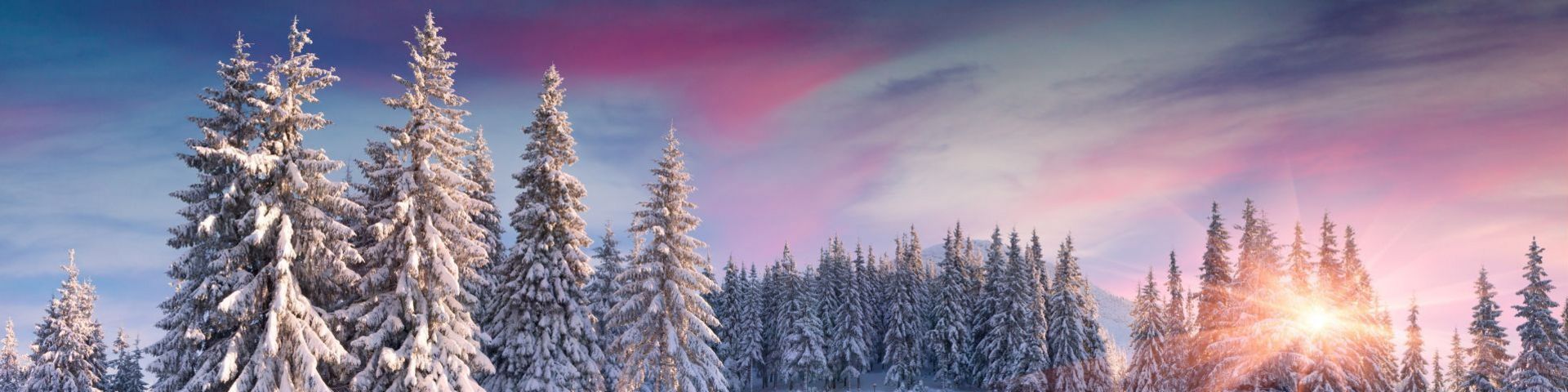 Schneelandschaft im Vogtland bei einer Winterreise mit sz-Reisen