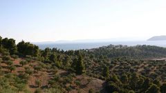 Parthenonas Landschaft
