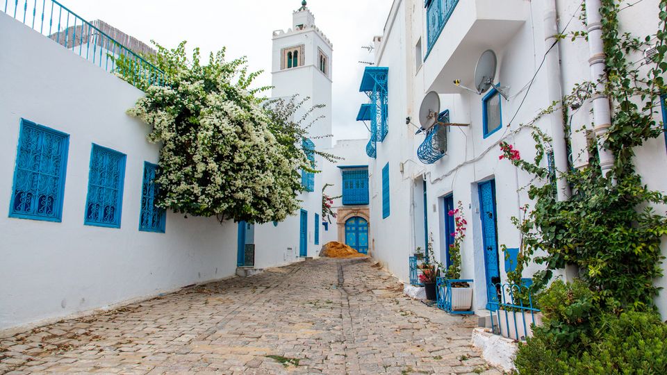 Hammamet