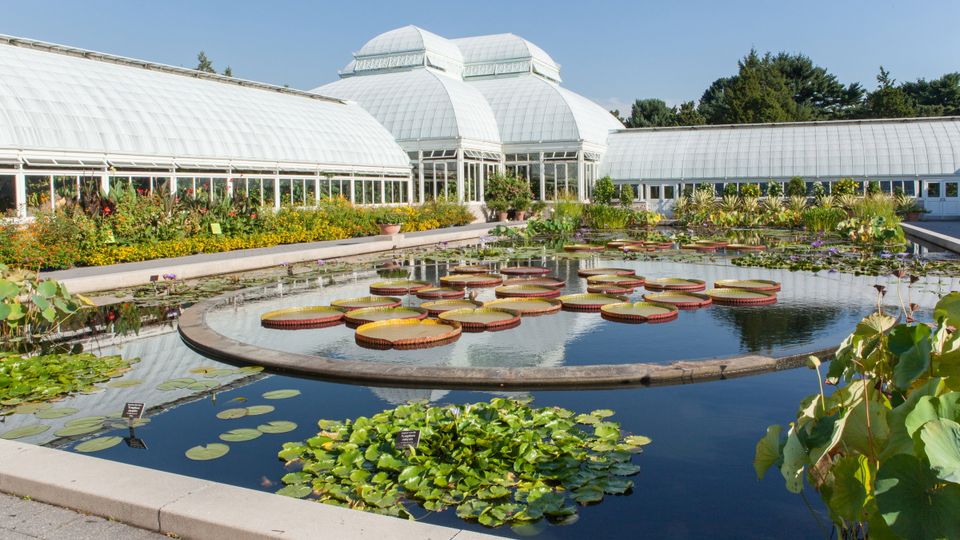 New York Botanical Garden