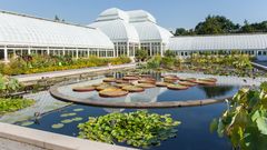 New York Botanical Garden