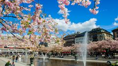 Kings Garden in Stockholm