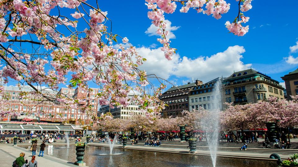 Kings Garden in Stockholm
