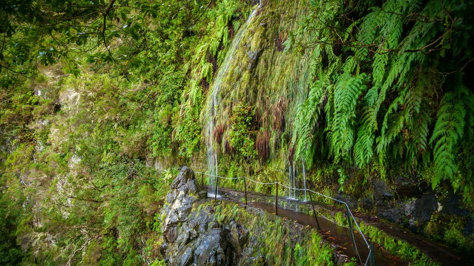kleine Wasserfälle am Wanderweg Levada do Caldeiro Verde auf Madeira