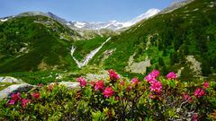 Die Alpenüberquerung - Ein Erlebnis für immer