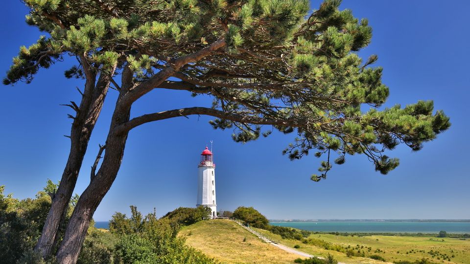 Leuchtturm auf Hiddensee