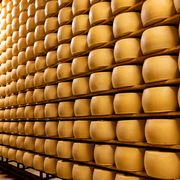 Herstellung von Parmigiano Reggiano