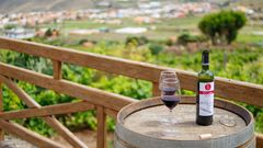 El Lomo Wineries
