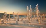 Winter in Südböhmen