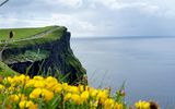 4112_._315_Cliffs_of_Moher_im_Fruehling_c_