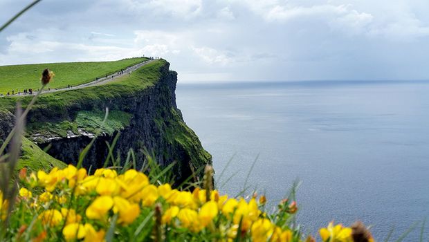 4112_._315_Cliffs_of_Moher_im_Fruehling_c_