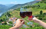 Weinprobe im Douro-Tal