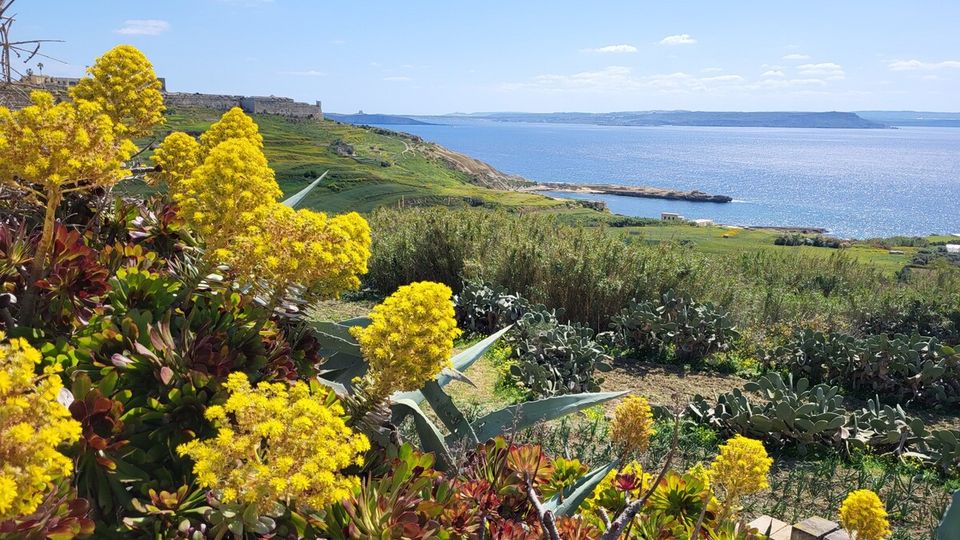 Blick von der Insel Gozo aufs Meer