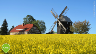 Oberlausitz Bockwindmühle Kottmarsdorf