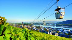 Weinberge in Rüdesheim am Rhein
