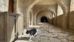 Arkadi-Kloster, Kreta