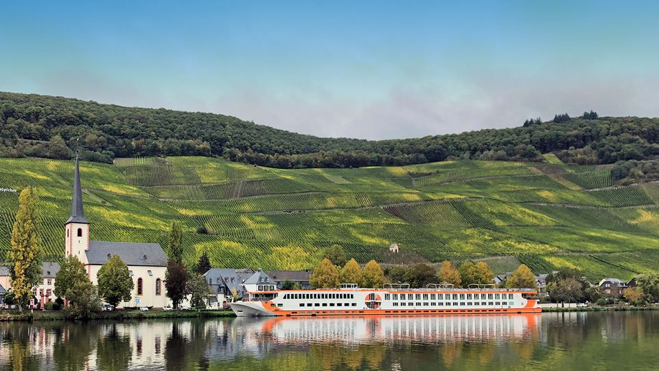 MS Vista Rio in Piesport