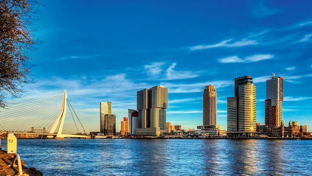 Rotterdam - Blick auf die Erasmusbrücke